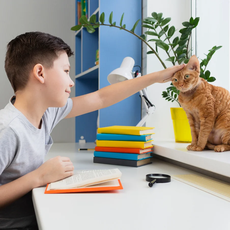 Evcil Hayvanların Çocuklara Faydaları Nelerdir? Evcil Hayvanların Çocuklara Faydaları Nelerdir?